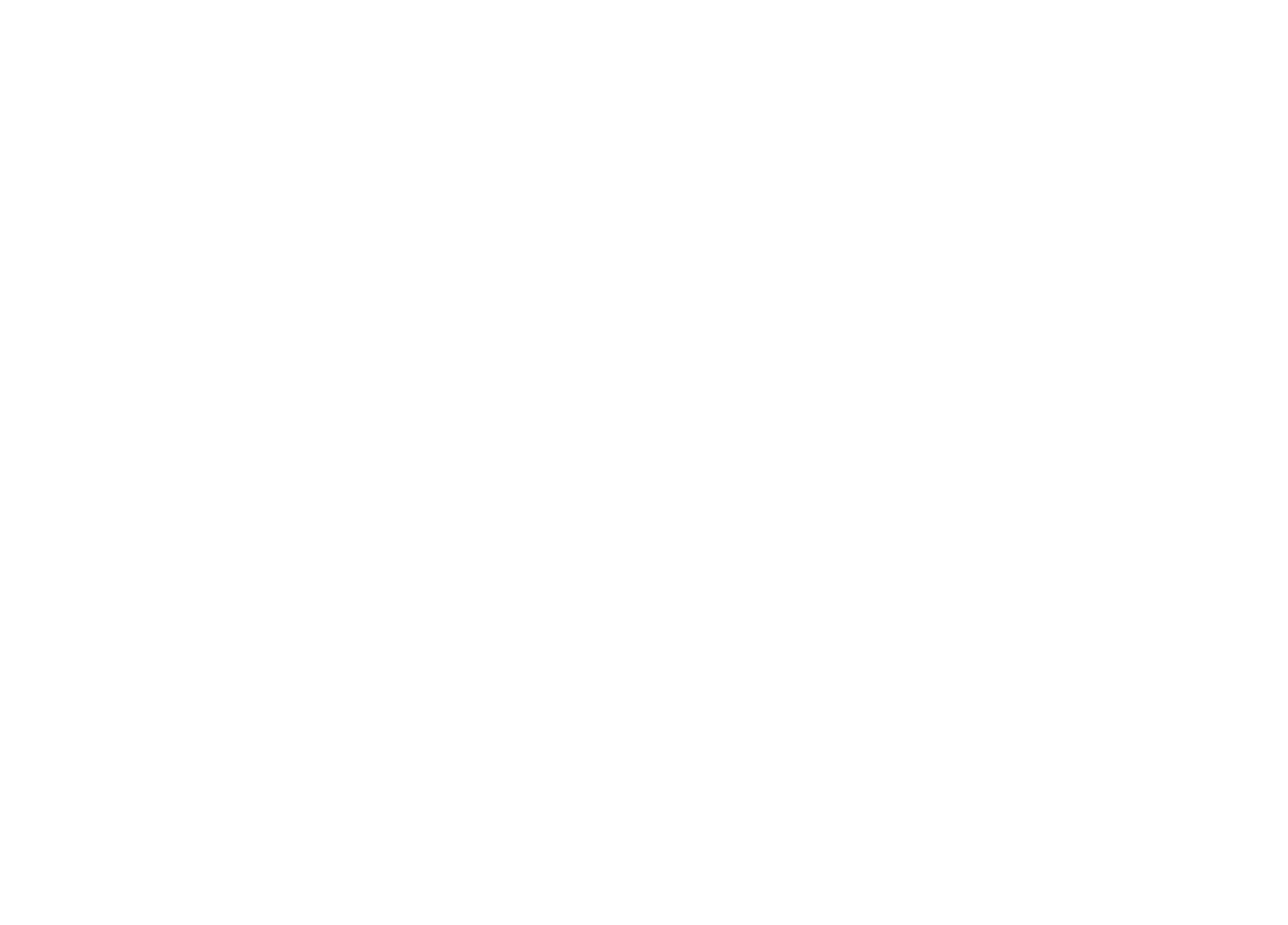 PARTYDAY logo